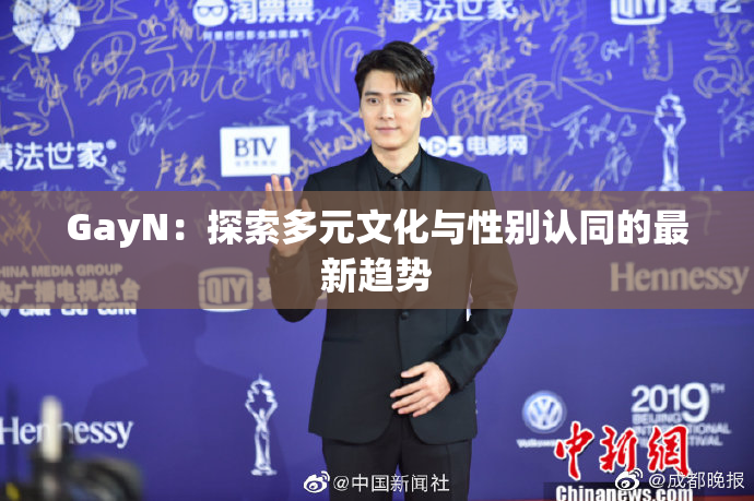 GayN：探索多元文化与性别认同的最新趋势