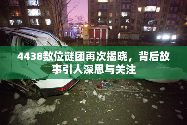 4438数位谜团再次揭晓，背后故事引人深思与关注