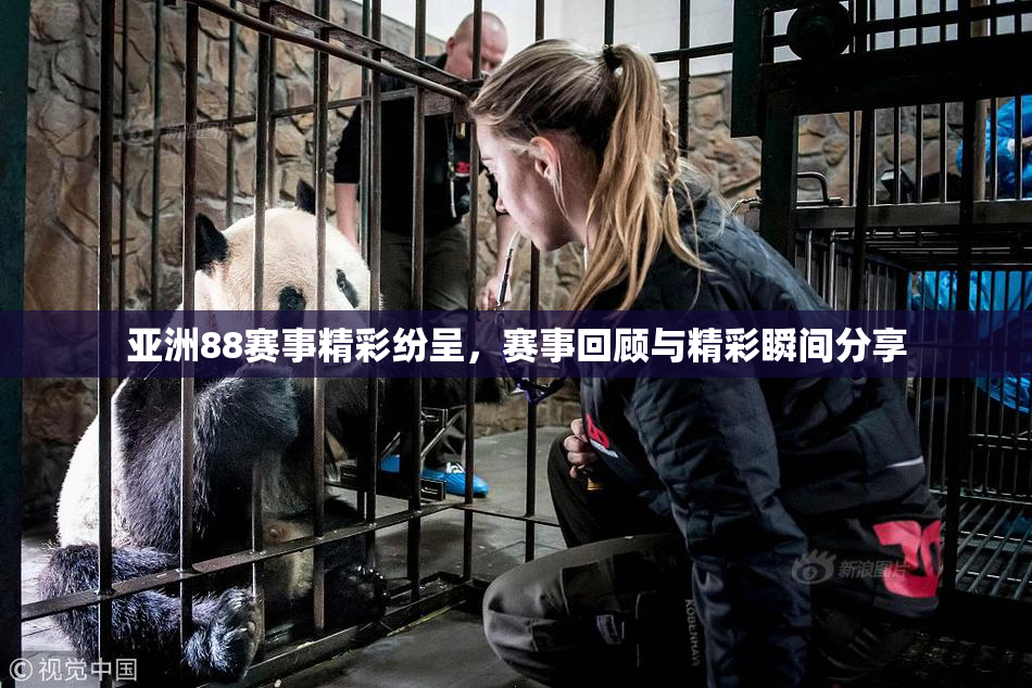 亚洲88赛事精彩纷呈，赛事回顾与精彩瞬间分享
