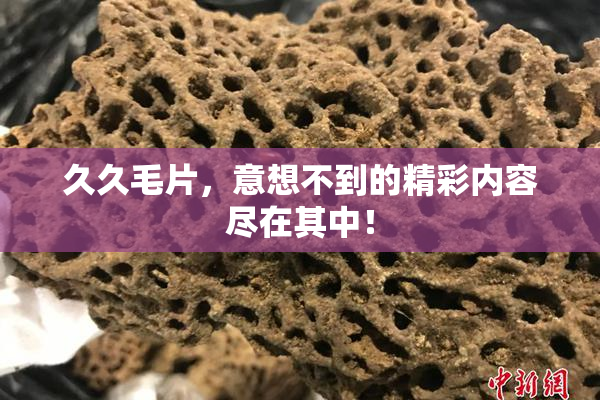 久久毛片，意想不到的精彩内容尽在其中！