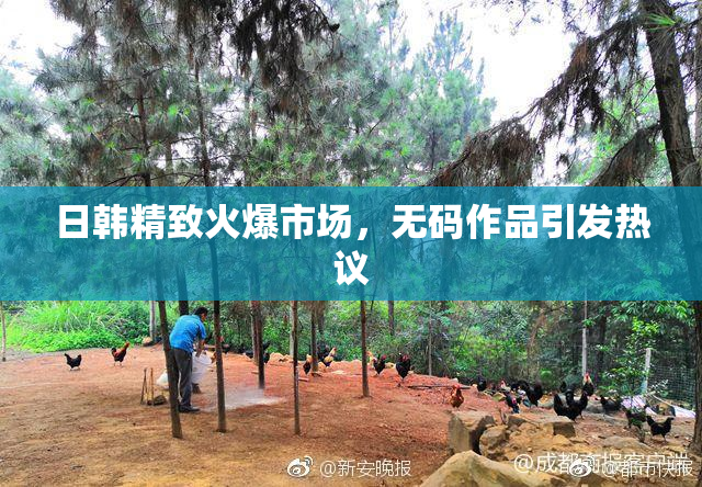日韩精致火爆市场，无码作品引发热议