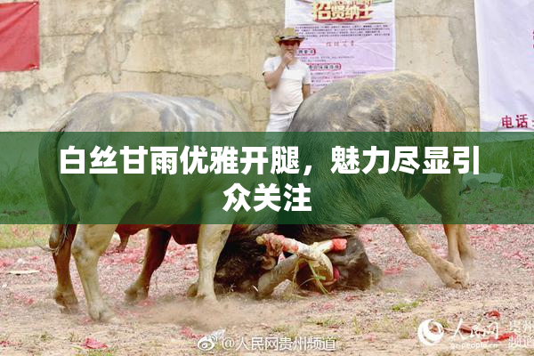 白丝甘雨优雅开腿，魅力尽显引众关注