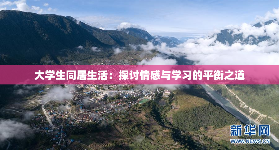 大学生同居生活：探讨情感与学习的平衡之道