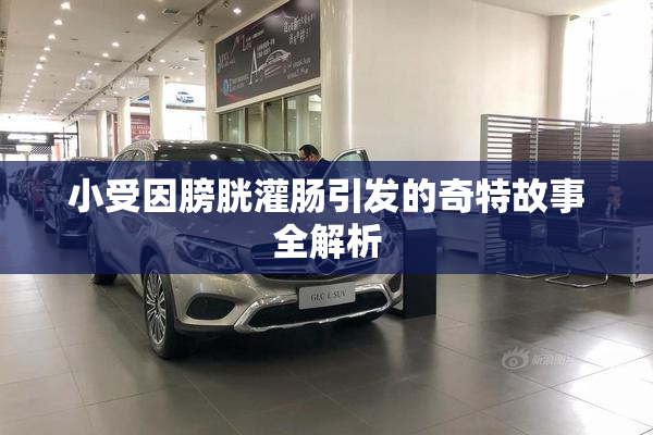 小受因膀胱灌肠引发的奇特故事全解析
