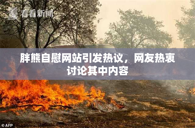 胖熊自慰网站引发热议，网友热衷讨论其中内容
