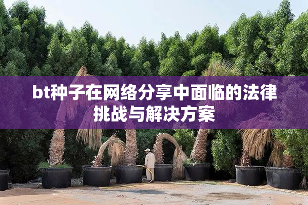 bt种子在网络分享中面临的法律挑战与解决方案