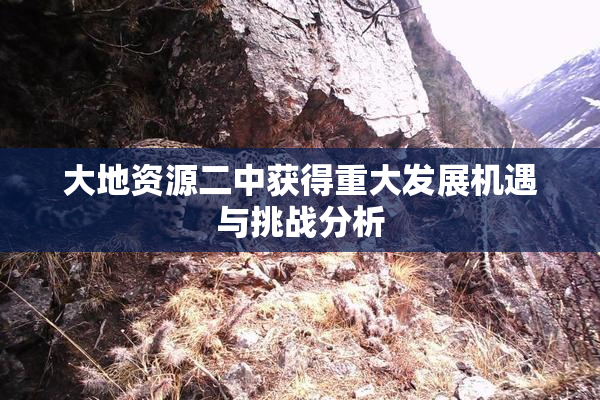 大地资源二中获得重大发展机遇与挑战分析