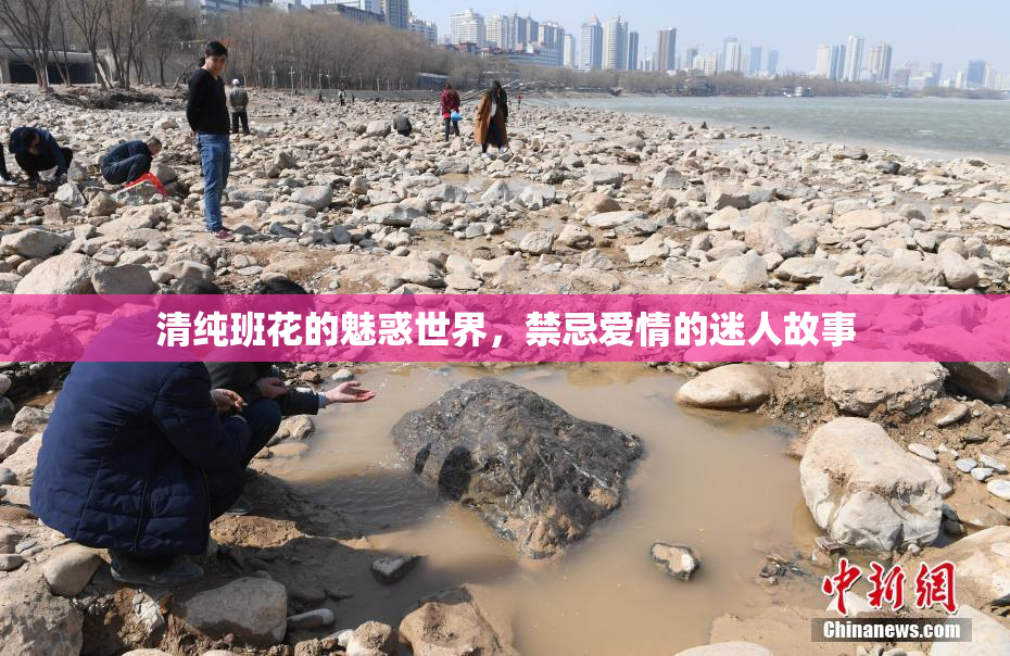 清纯班花的魅惑世界，禁忌爱情的迷人故事
