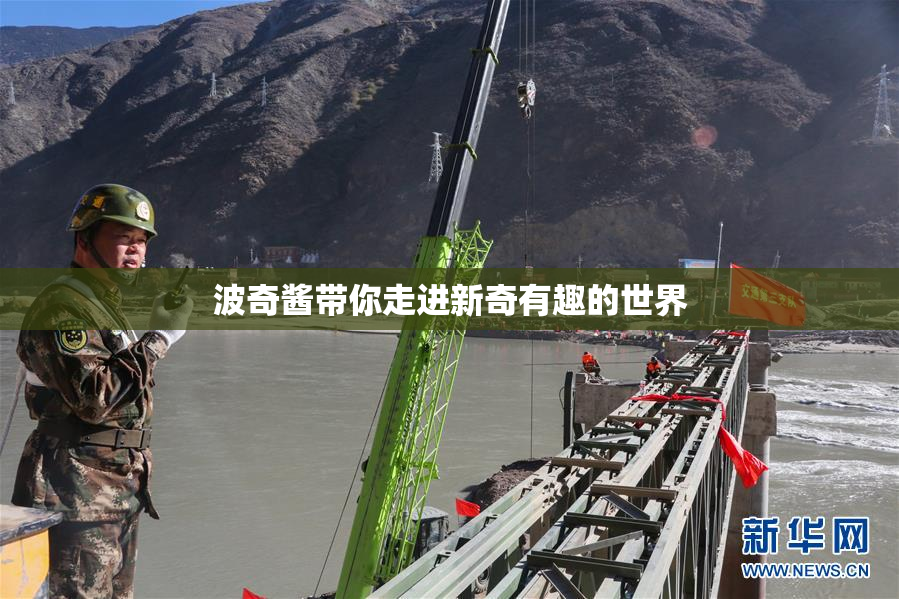 波奇酱带你走进新奇有趣的世界