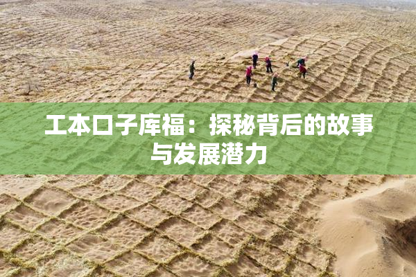 工本口子库福：探秘背后的故事与发展潜力