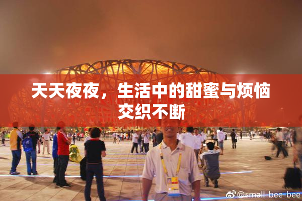 天天夜夜，生活中的甜蜜与烦恼交织不断
