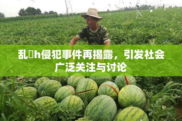 乱婬h侵犯事件再揭露，引发社会广泛关注与讨论