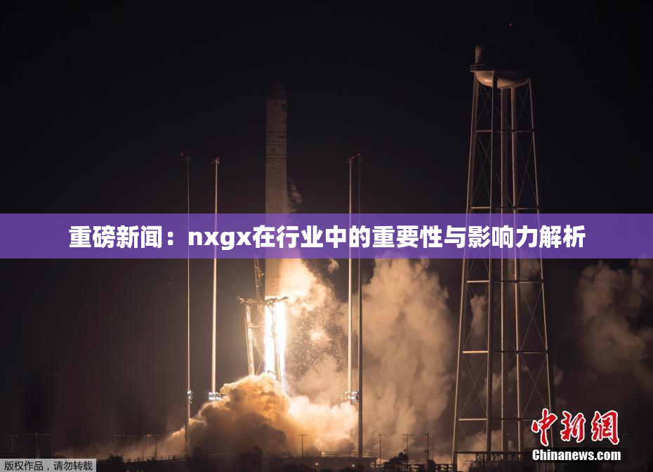 重磅新闻：nxgx在行业中的重要性与影响力解析