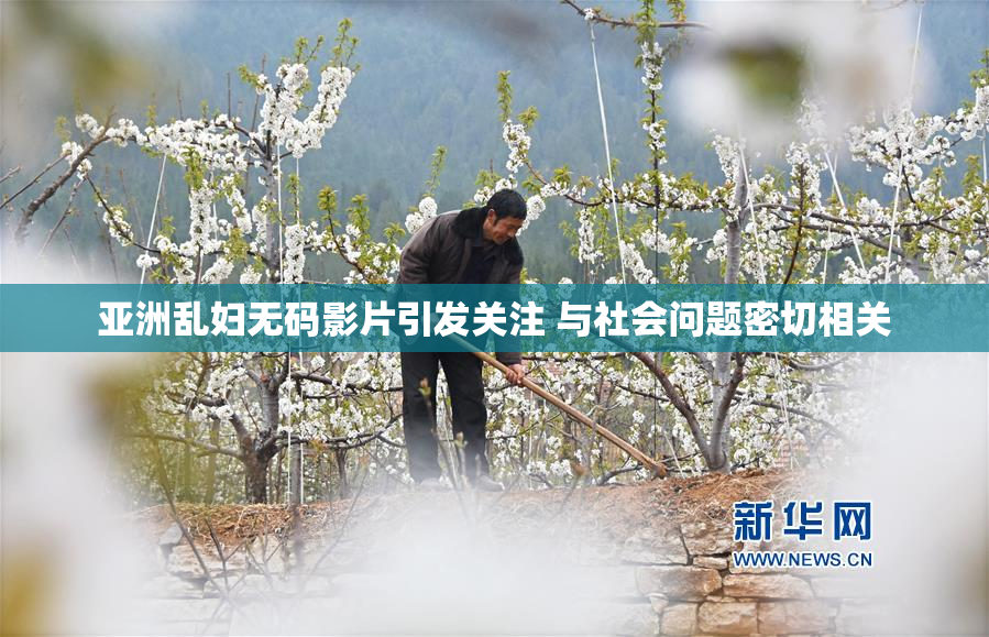 亚洲乱妇无码影片引发关注 与社会问题密切相关
