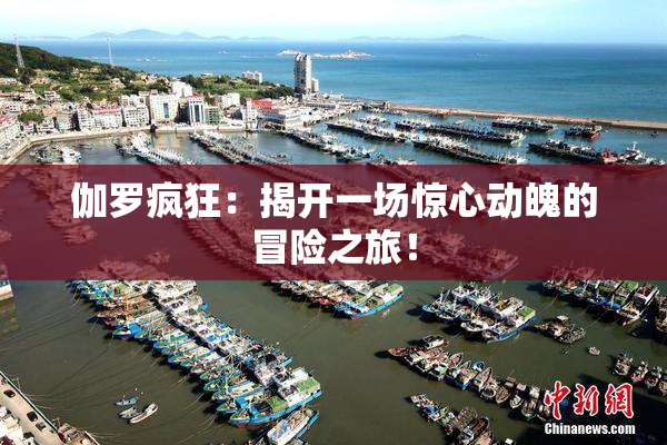 伽罗疯狂：揭开一场惊心动魄的冒险之旅！
