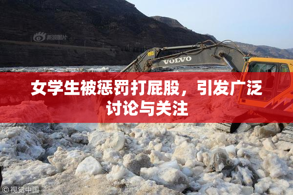 女学生被惩罚打屁股，引发广泛讨论与关注