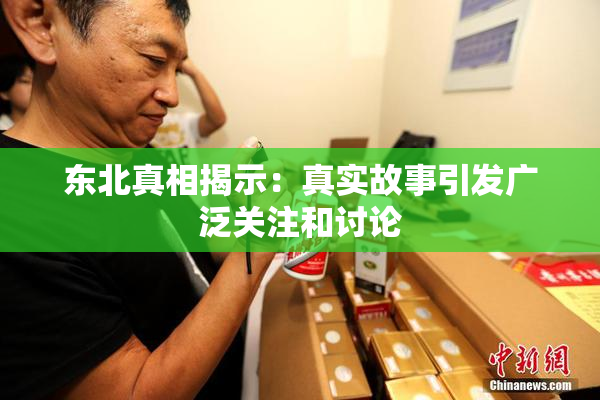 东北真相揭示：真实故事引发广泛关注和讨论