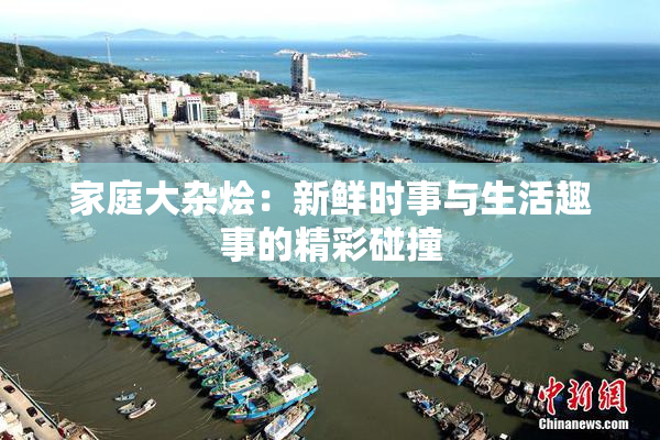 家庭大杂烩：新鲜时事与生活趣事的精彩碰撞