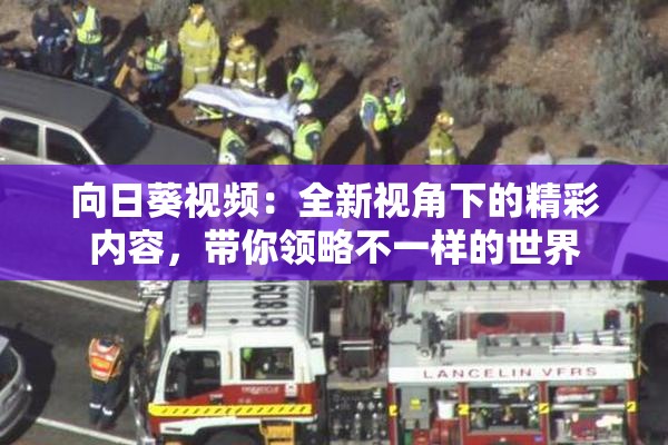 向日葵视频：全新视角下的精彩内容，带你领略不一样的世界