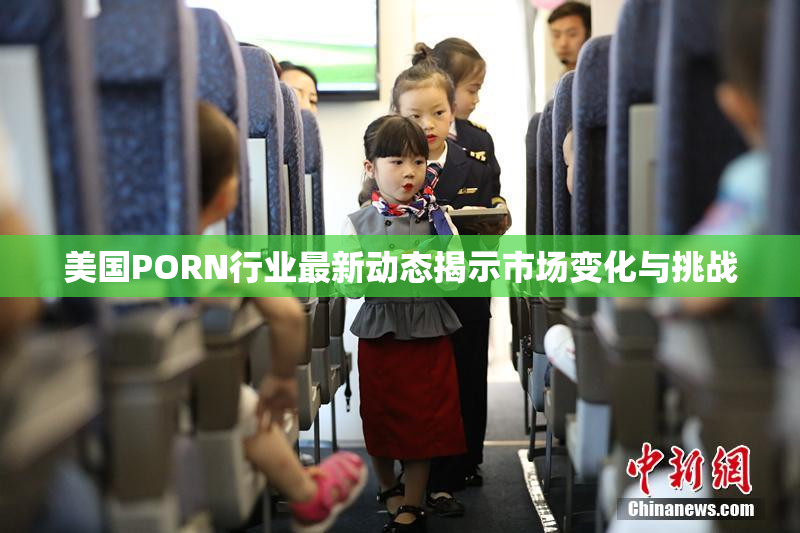 美国PORN行业最新动态揭示市场变化与挑战