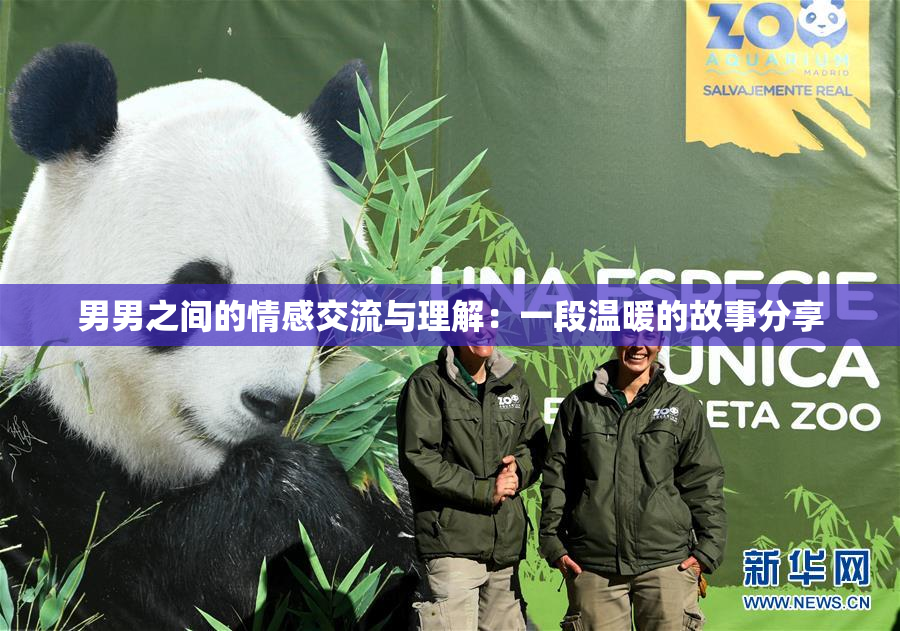 男男之间的情感交流与理解：一段温暖的故事分享