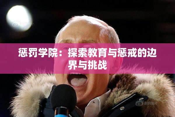 惩罚学院：探索教育与惩戒的边界与挑战