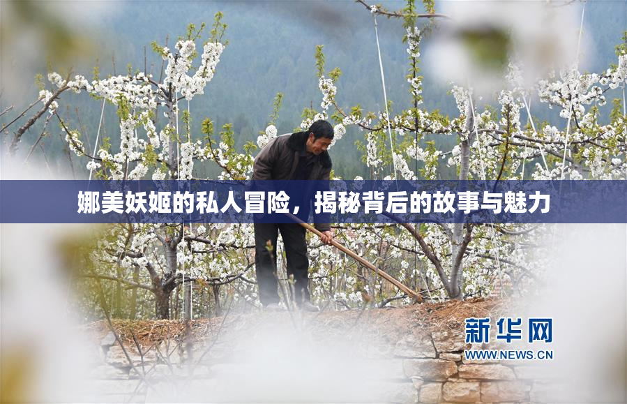 娜美妖姬的私人冒险，揭秘背后的故事与魅力