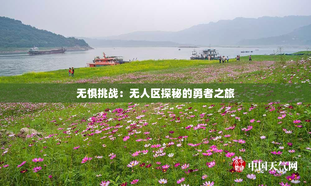 无惧挑战：无人区探秘的勇者之旅