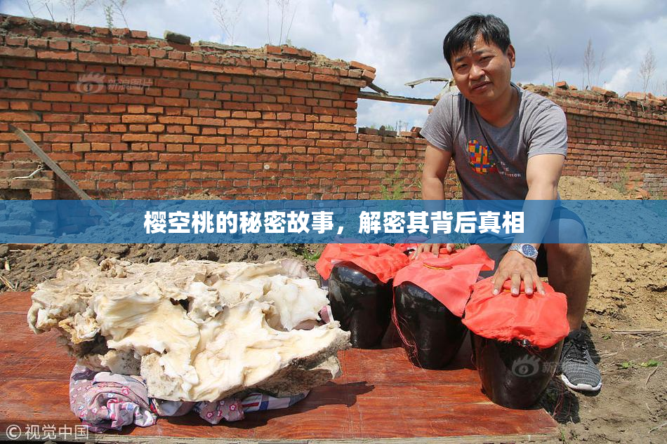 樱空桃的秘密故事，解密其背后真相