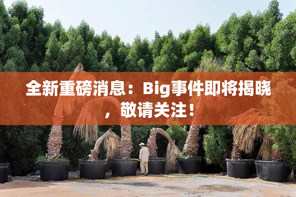 全新重磅消息：Big事件即将揭晓，敬请关注！