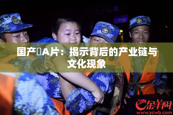 国产婬A片：揭示背后的产业链与文化现象