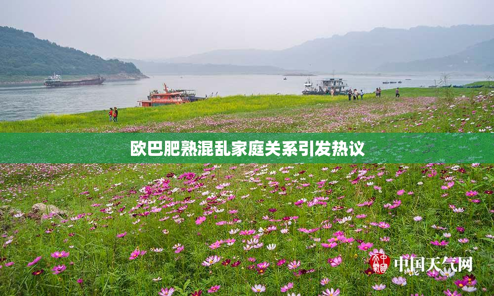 欧巴肥熟混乱家庭关系引发热议
