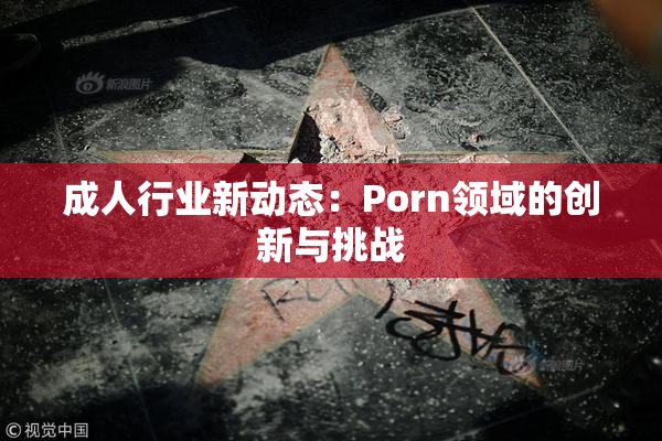 成人行业新动态：Porn领域的创新与挑战