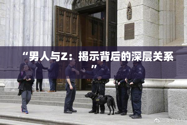 “男人与Z：揭示背后的深层关系”