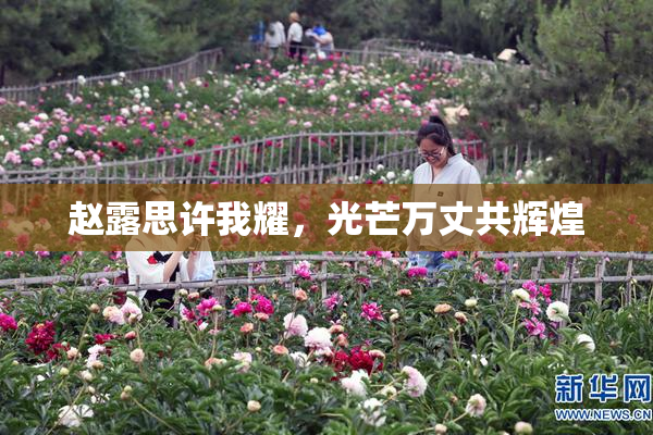 赵露思许我耀，光芒万丈共辉煌