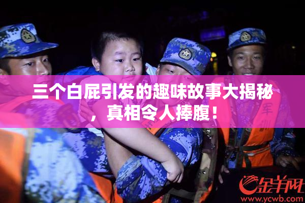 三个白屁引发的趣味故事大揭秘，真相令人捧腹！