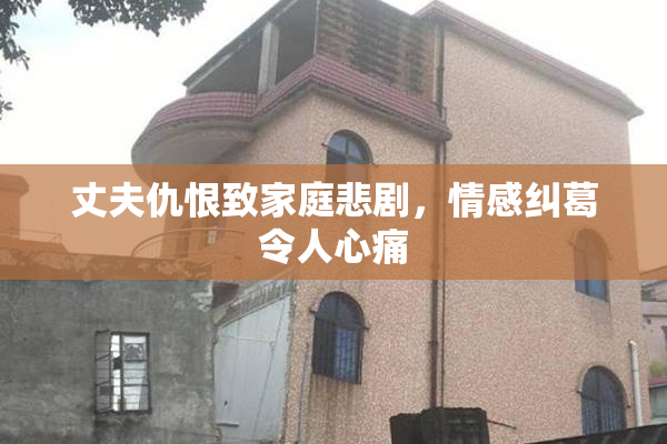 丈夫仇恨致家庭悲剧，情感纠葛令人心痛