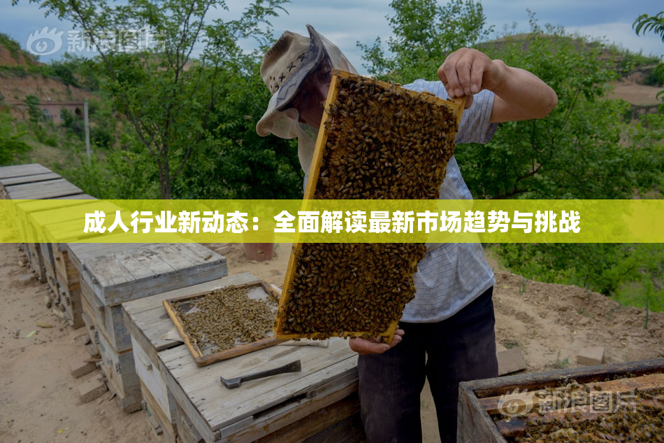 成人行业新动态：全面解读最新市场趋势与挑战