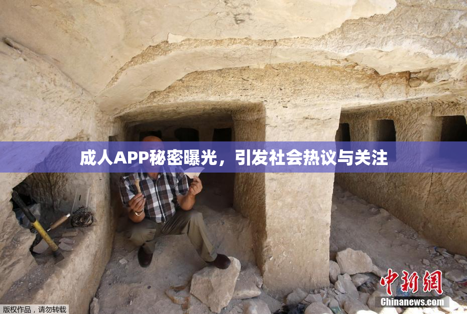 成人APP秘密曝光，引发社会热议与关注