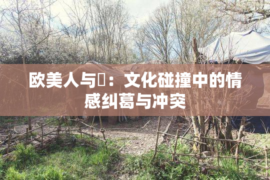 欧美人与嘼：文化碰撞中的情感纠葛与冲突
