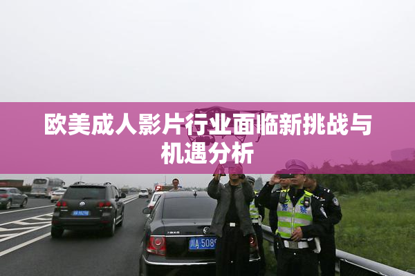 欧美成人影片行业面临新挑战与机遇分析