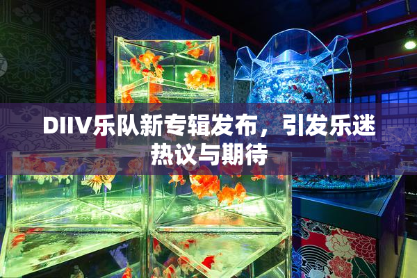 DIIV乐队新专辑发布，引发乐迷热议与期待