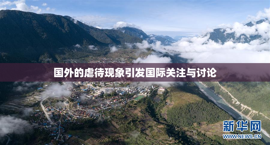国外的虐待现象引发国际关注与讨论