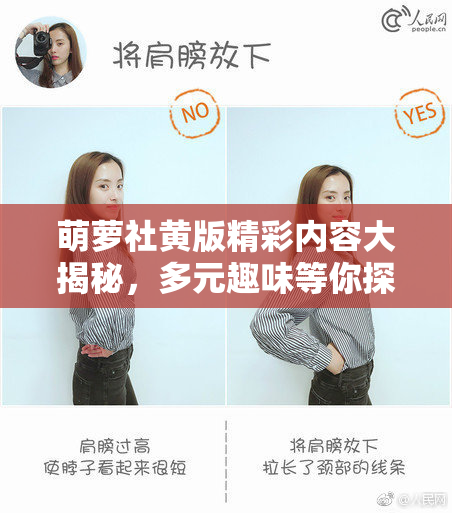 萌萝社黄版精彩内容大揭秘，多元趣味等你探索！