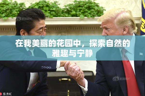在我美丽的花园中，探索自然的雅趣与宁静