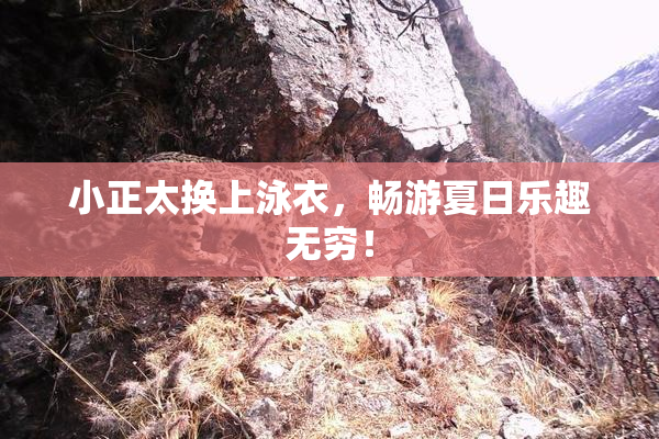 小正太换上泳衣，畅游夏日乐趣无穷！