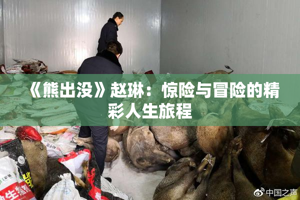 《熊出没》赵琳：惊险与冒险的精彩人生旅程