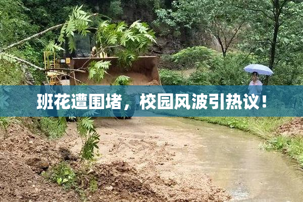 班花遭围堵，校园风波引热议！