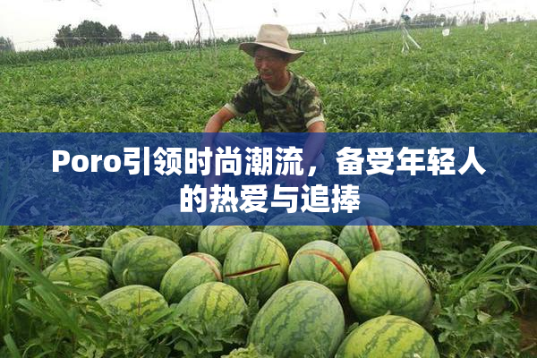 Poro引领时尚潮流，备受年轻人的热爱与追捧