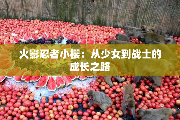 火影忍者小樱：从少女到战士的成长之路